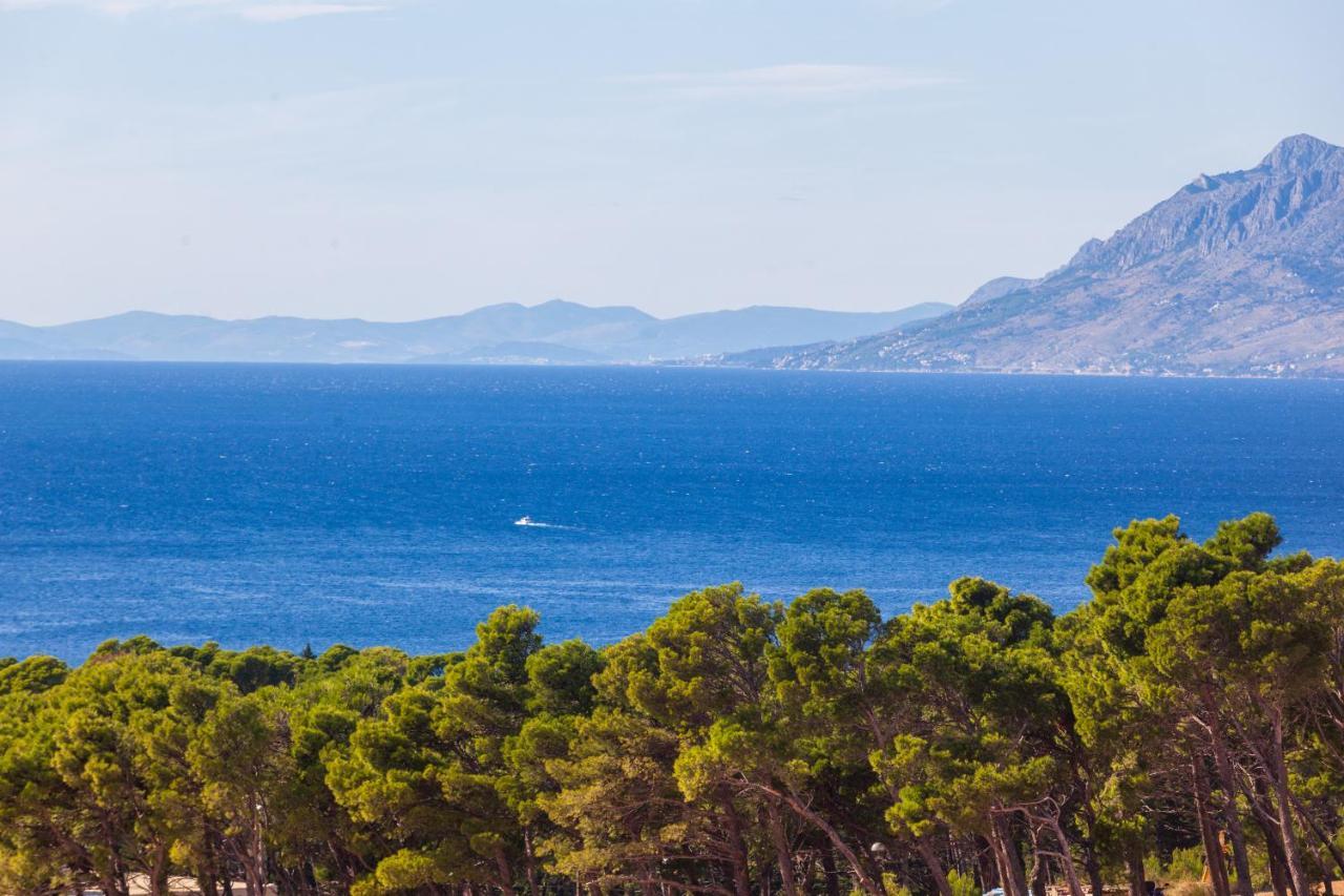 Villa Andric Makarska Dış mekan fotoğraf